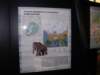pict0005_small.jpg