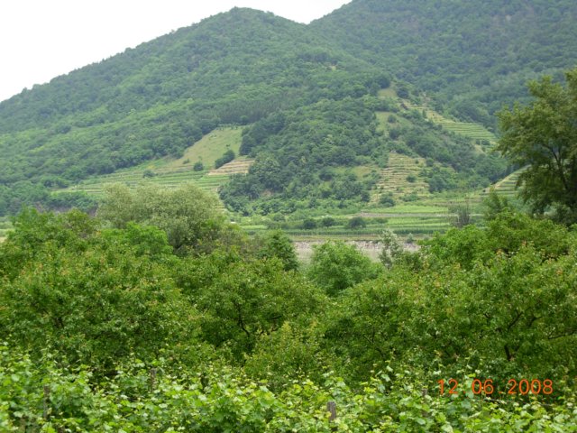 dscn2657.jpg