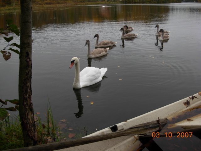 photo2.jpg