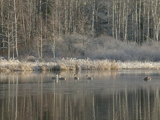 photo5.jpg