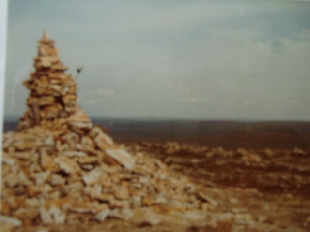 cimg0012.jpg