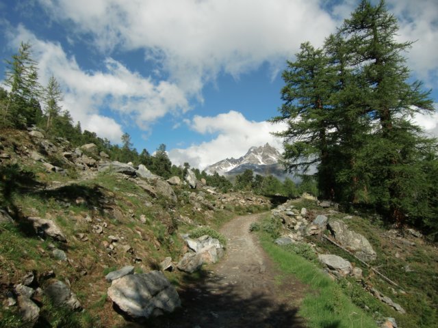 cimg0094.jpg