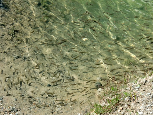 cimg0118.jpg
