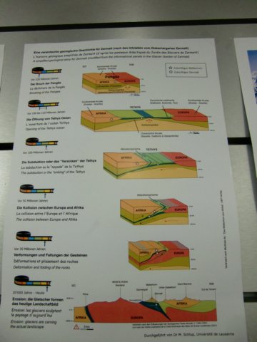cimg0556.jpg