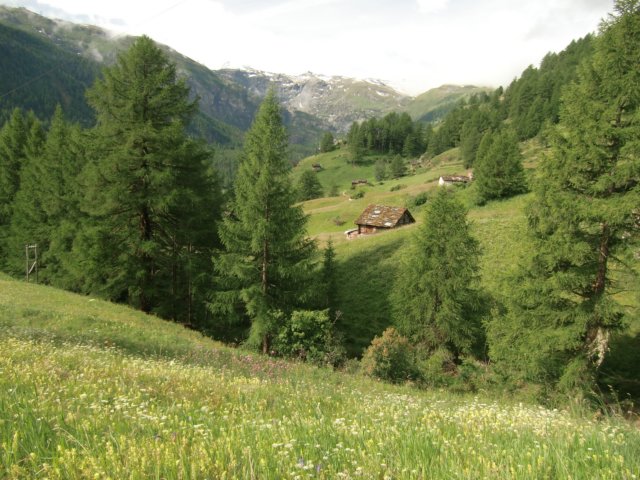 cimg0577.jpg
