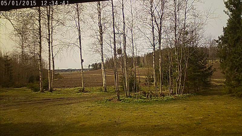 korsucam2_1430472882_1004.jpg