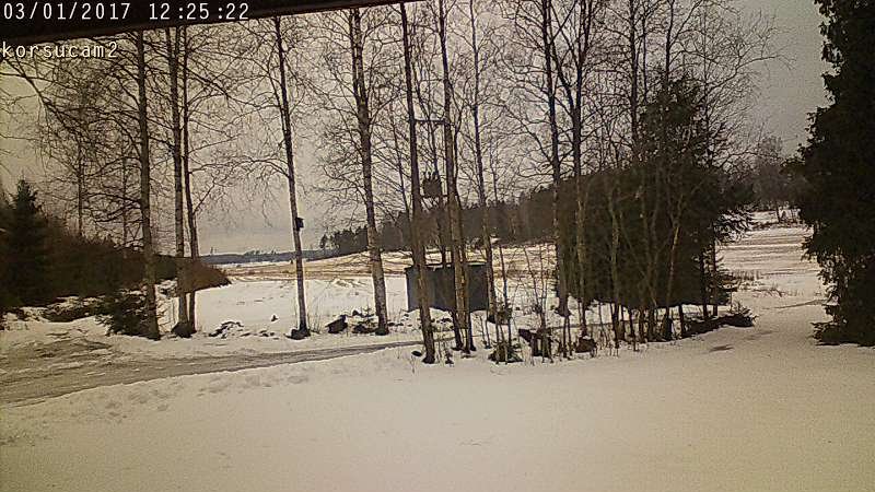 korsucam2_20170301_122522_7706.jpg